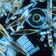 Illustration for article titled The Eight Super-Adaptable Life Forms That Rule Our Planet